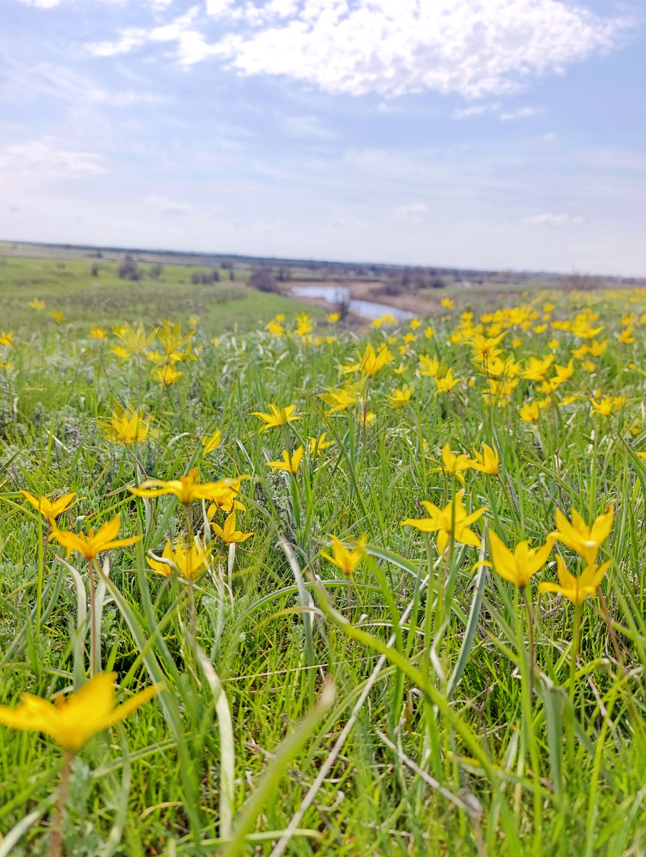 Яркий встречный свет