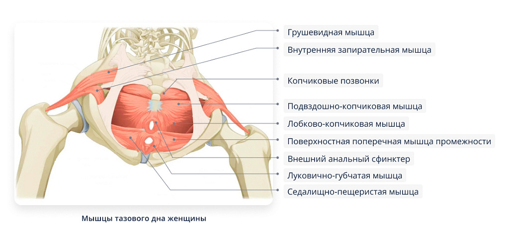 фото из открытого источника