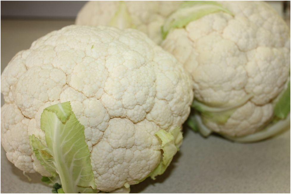 Личное фото автора.