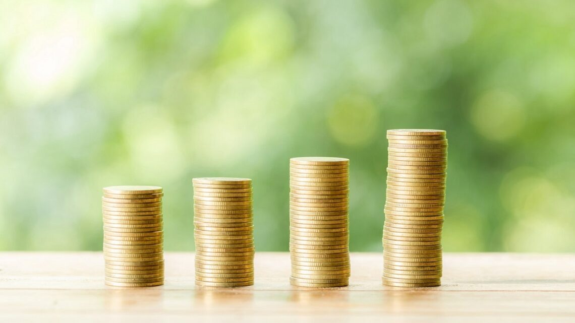    фото: jcomp / freepik.com