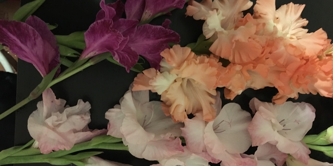 Цветы, с которыми я попрощалась