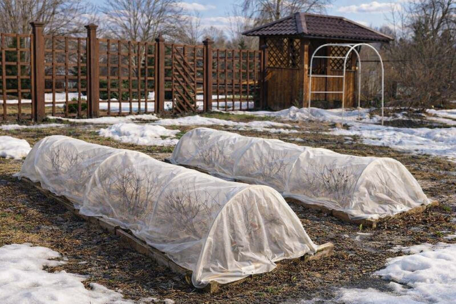    Создано ИИ/NEWS.ru