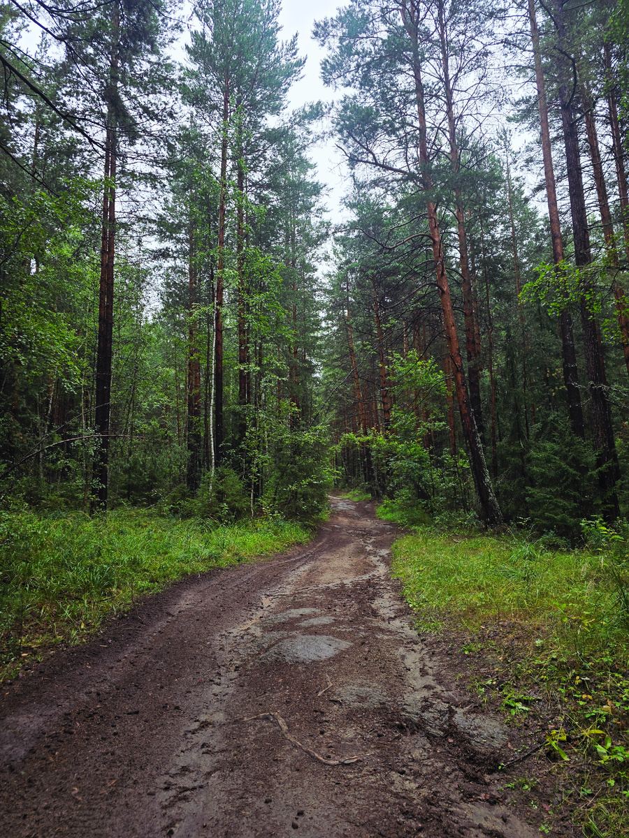 По дороге к Семи братьям