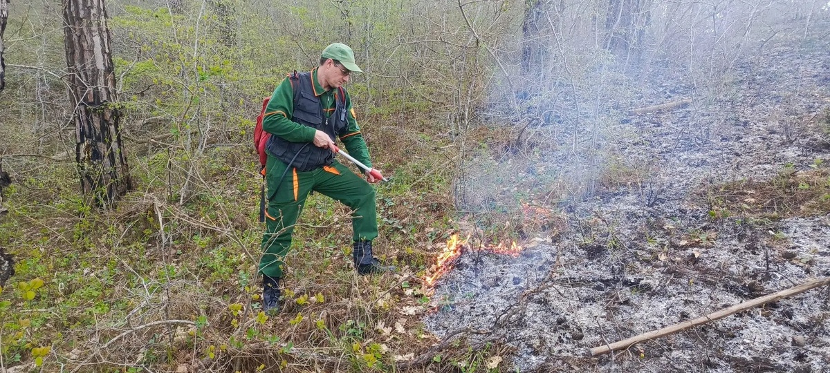    Telegram / ГБУ КК "Краевой лесопожарный центр"
