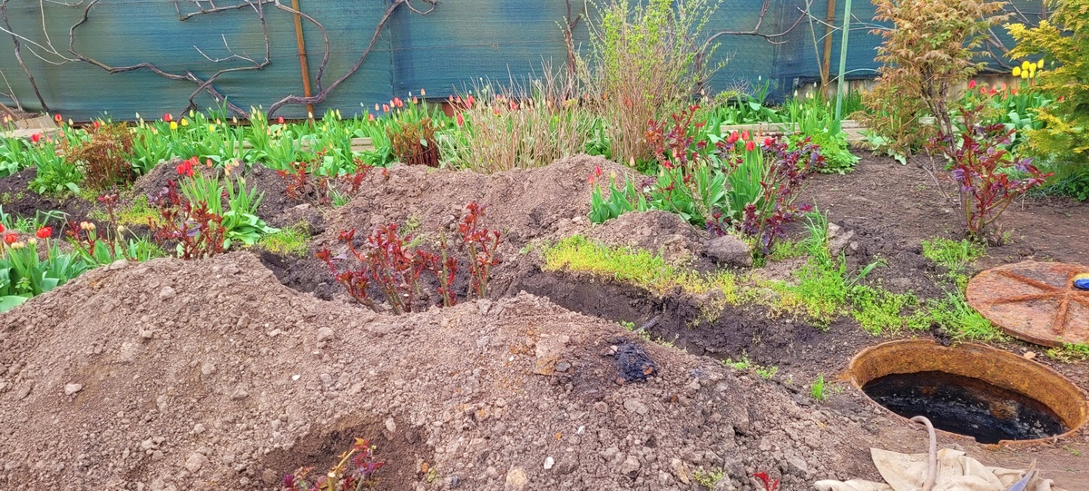 Наш розарий выглядит так