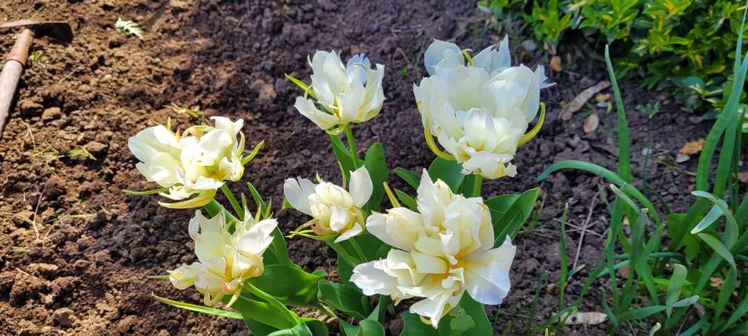 А воз и ныне там