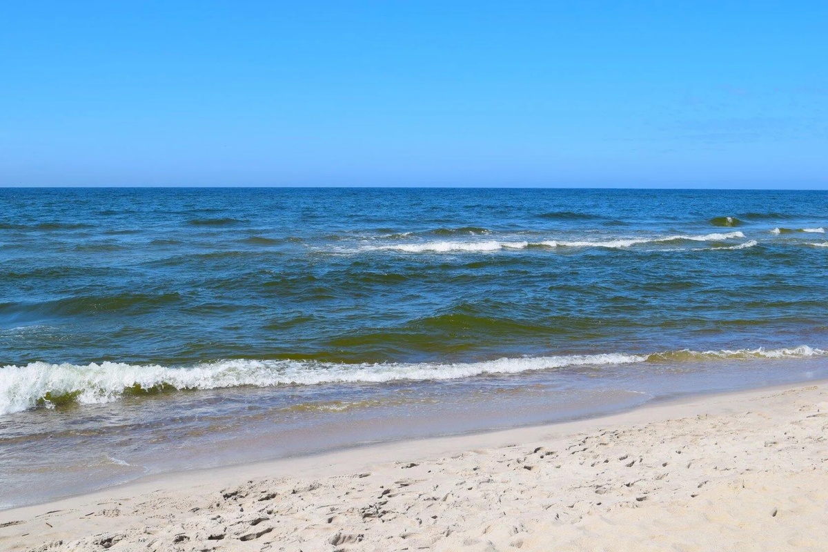 Фото из личного архива