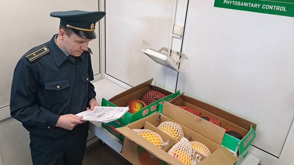    Фото: Уральское таможенное управление