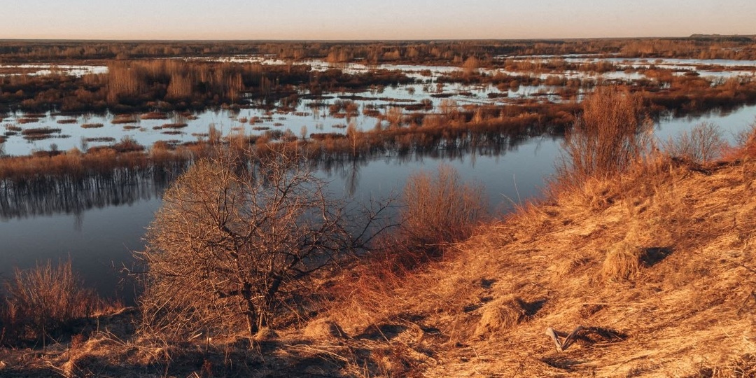 Половодье на реке Молома