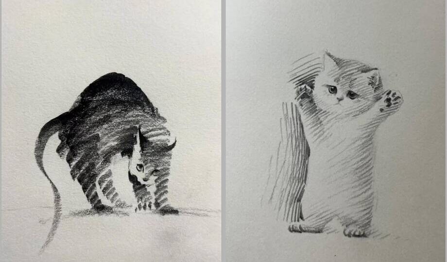15 милых карандашных рисунков котов, в которые легко влюбиться