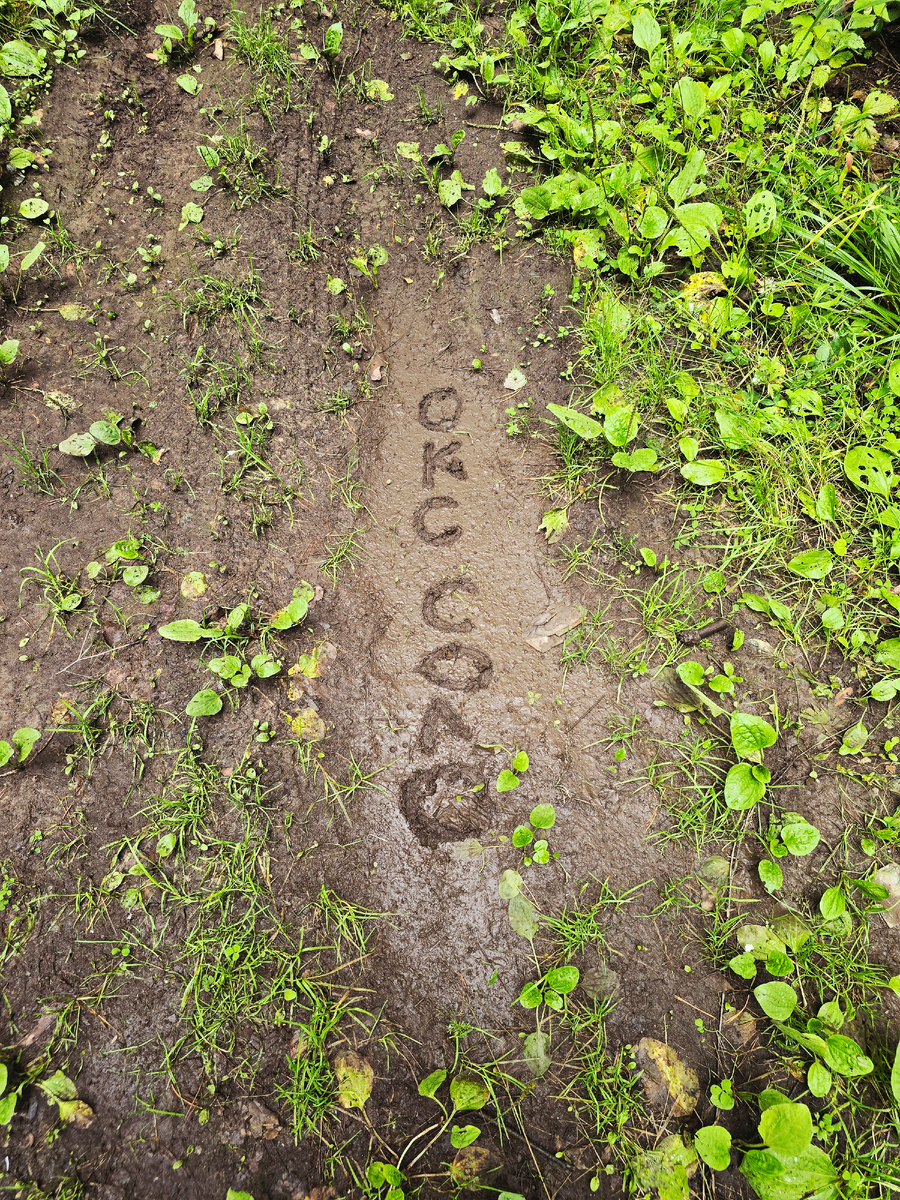 Кто-то меня искал