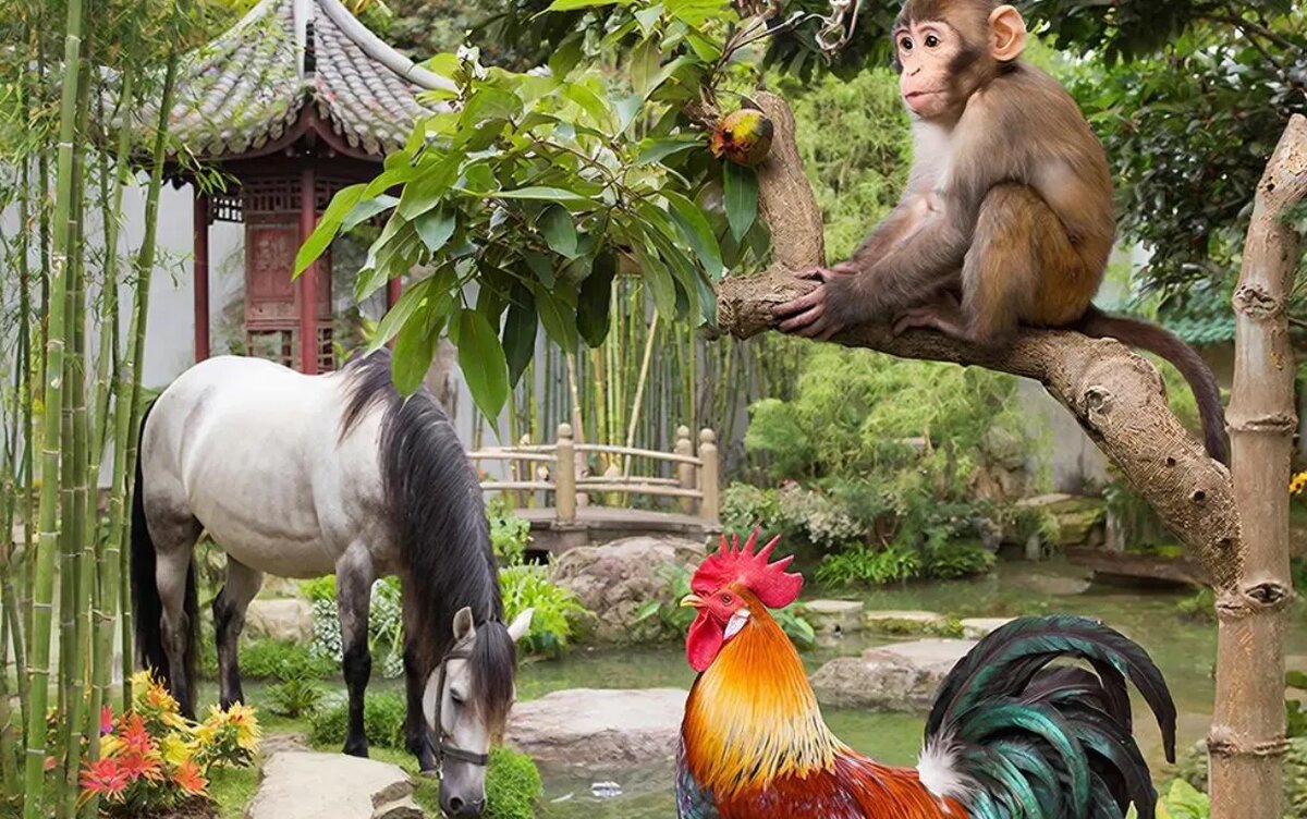    Деньги сами идут в руки: названы 3 знака китайского гороскопа, которым Вселенная дарует богатство