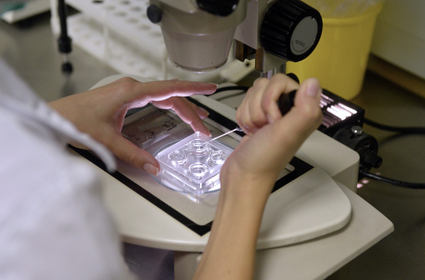 Фото: Михаил Воскресенский/РИА Новости