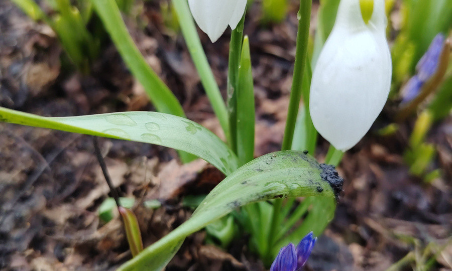 Как проходить через "ад" не останавливаясь. Про чувства.