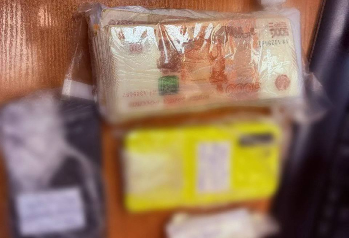 фото: пресс-служба ГУ МВД России по г. Санкт-Петербургу и Ленинградской области