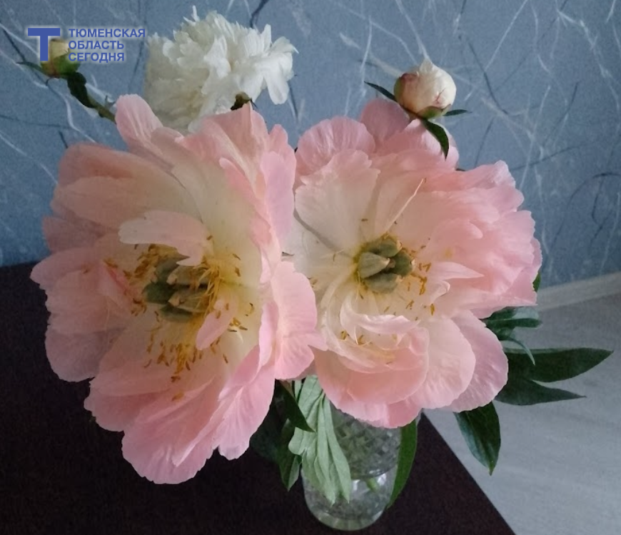  Фото Евгении Ноговициной