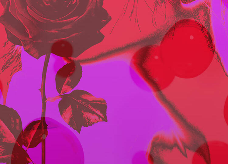 «Выдавила прыщ, и вырос рог с гноем». Честная история, как выдавливание закончилось операцией