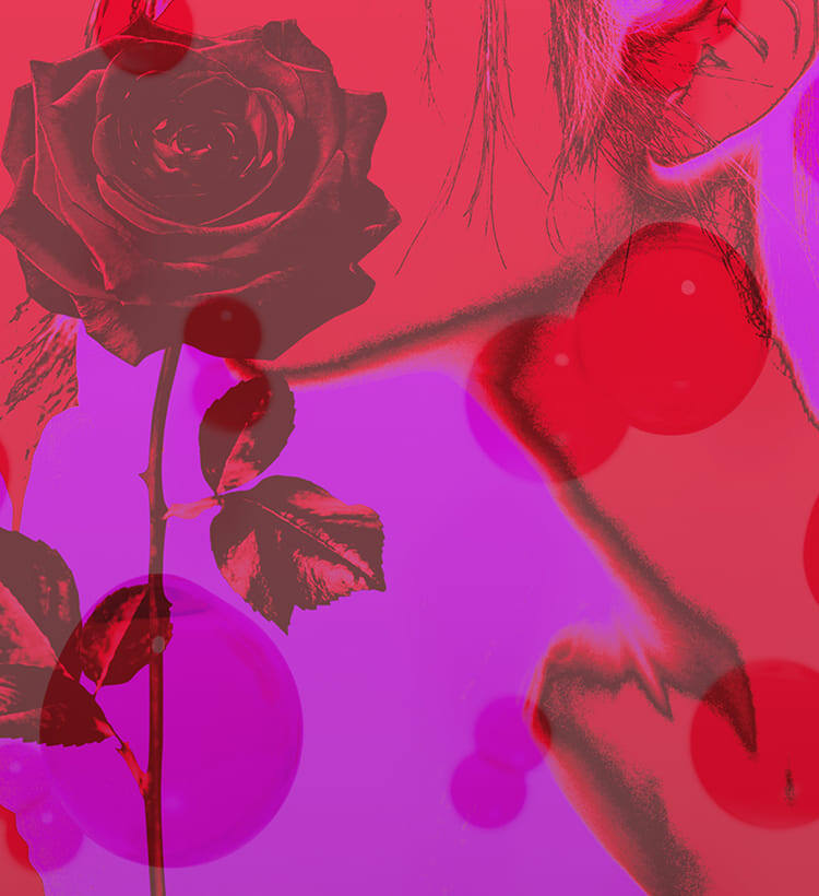 фото: Shutterstock / коллаж
