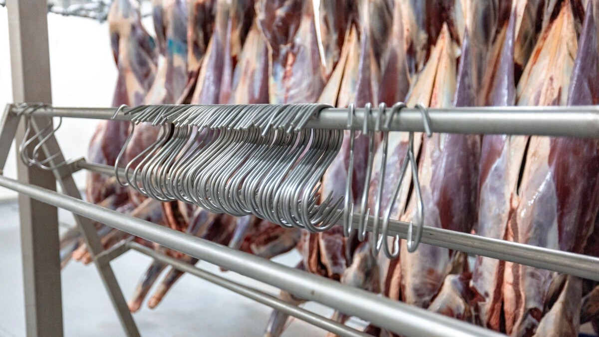    Фото: Сергей Зубков/«Ямал-Медиа»