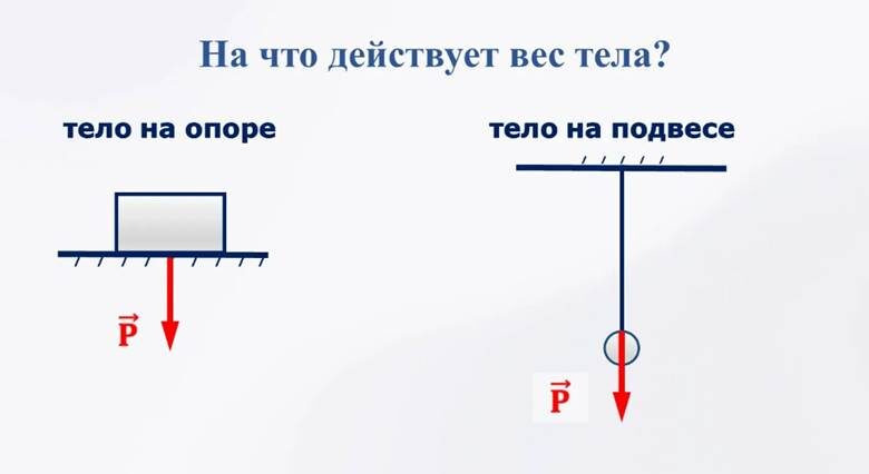Опора и подвес. Сила тяжести. Концепция «остановленное падение». Ось постуры
