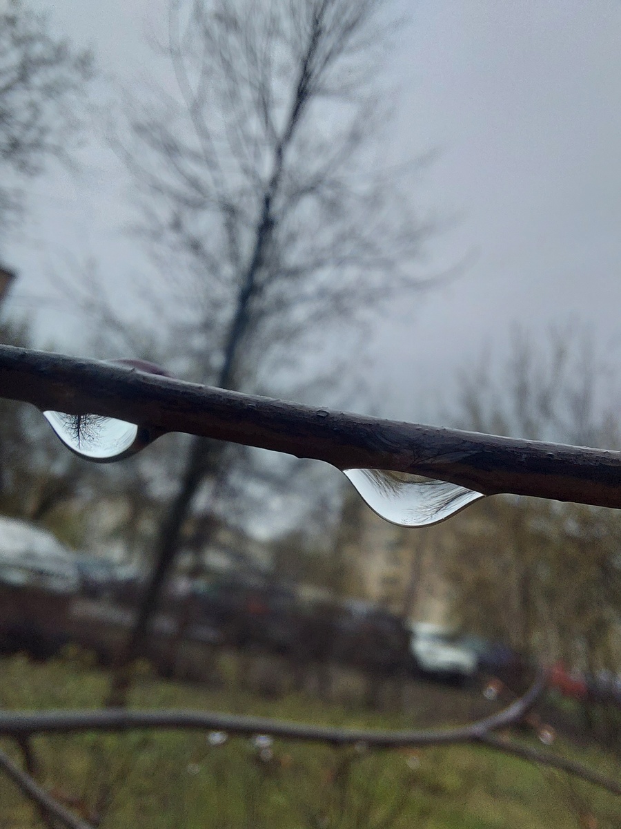 Пыталась сфотографировать капли дождя по пути в суд