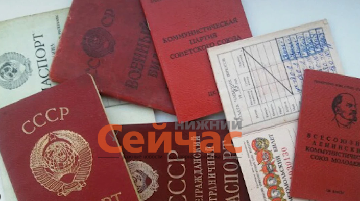    Фото: МВД медиа Иван Воробьев