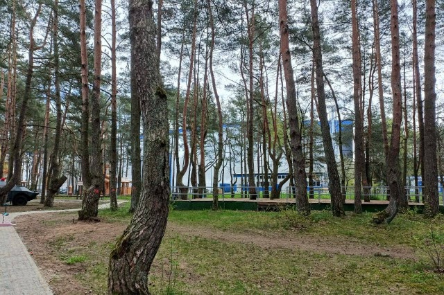   Фото из архива Калининград.Ru