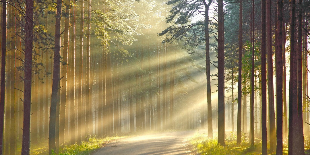 Позови меня