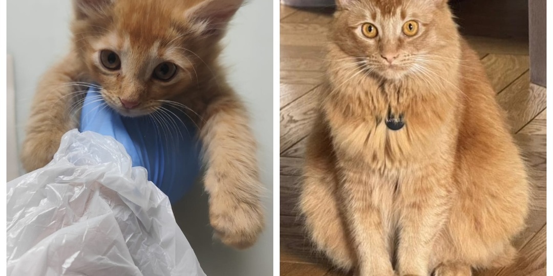 До и после: радуемся счастью выпускников