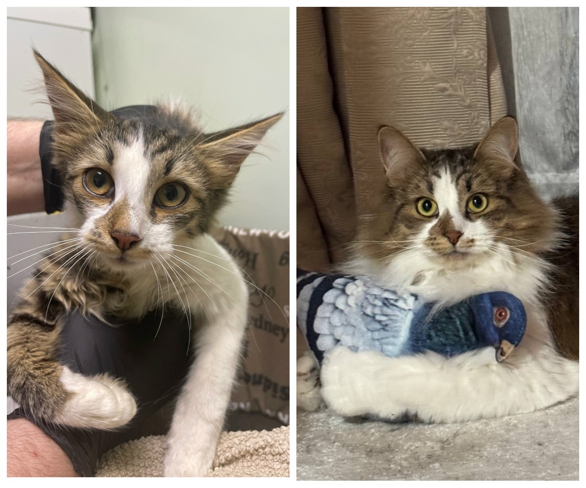 Кико – выпускница приюта.