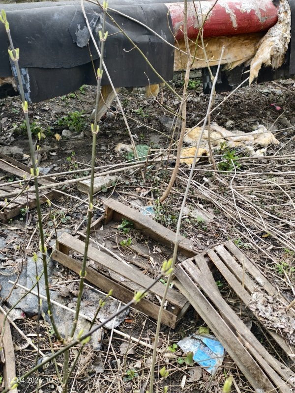     © фото - ВК Андрея Борисова