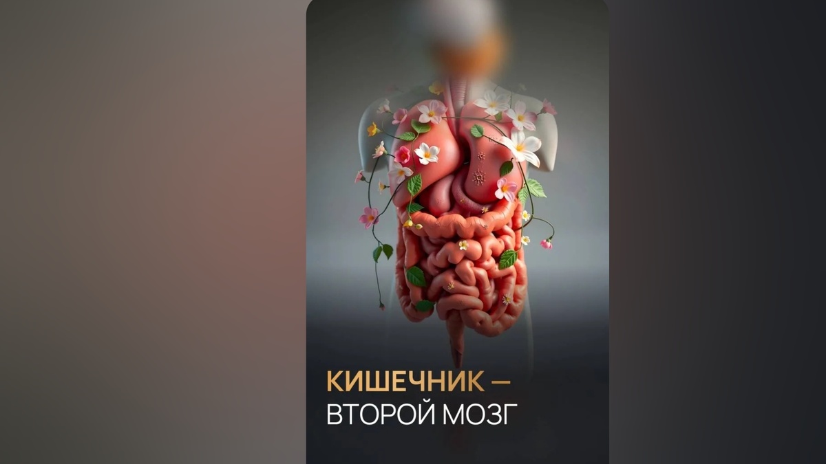 Моя история: от затяжных простуд к быстрому выздоровлениюРаньше любая простуда выбивала меня из колеи минимум на неделю, а то и на две. Горло, насморк, слабость — всё как у всех. Я лечилась, пила витамины, но результат был временным.После того как я начала заниматься здоровьем системно и в первую очередь наладила работу кишечника, произошло неожиданное: простуды стали проходить за 2–3 дня. А когда мы с мужем переболели ковидом, на 4-й день у обоих начала отходить мокрота — жёлтые «пломбочки», как я их называю. Я знаю, что у многих людей мокрота отходила неделями. А у нас — на 4-й день.Почему? Потому что здоровая слизистая кишечника и дыхательных путей связана. Когда кишечник работает как часы, иммунная система слизистых (и в лёгких, и в носу) активизируется быстрее. Она распознаёт врага и выводит его без затяжной борьбы.