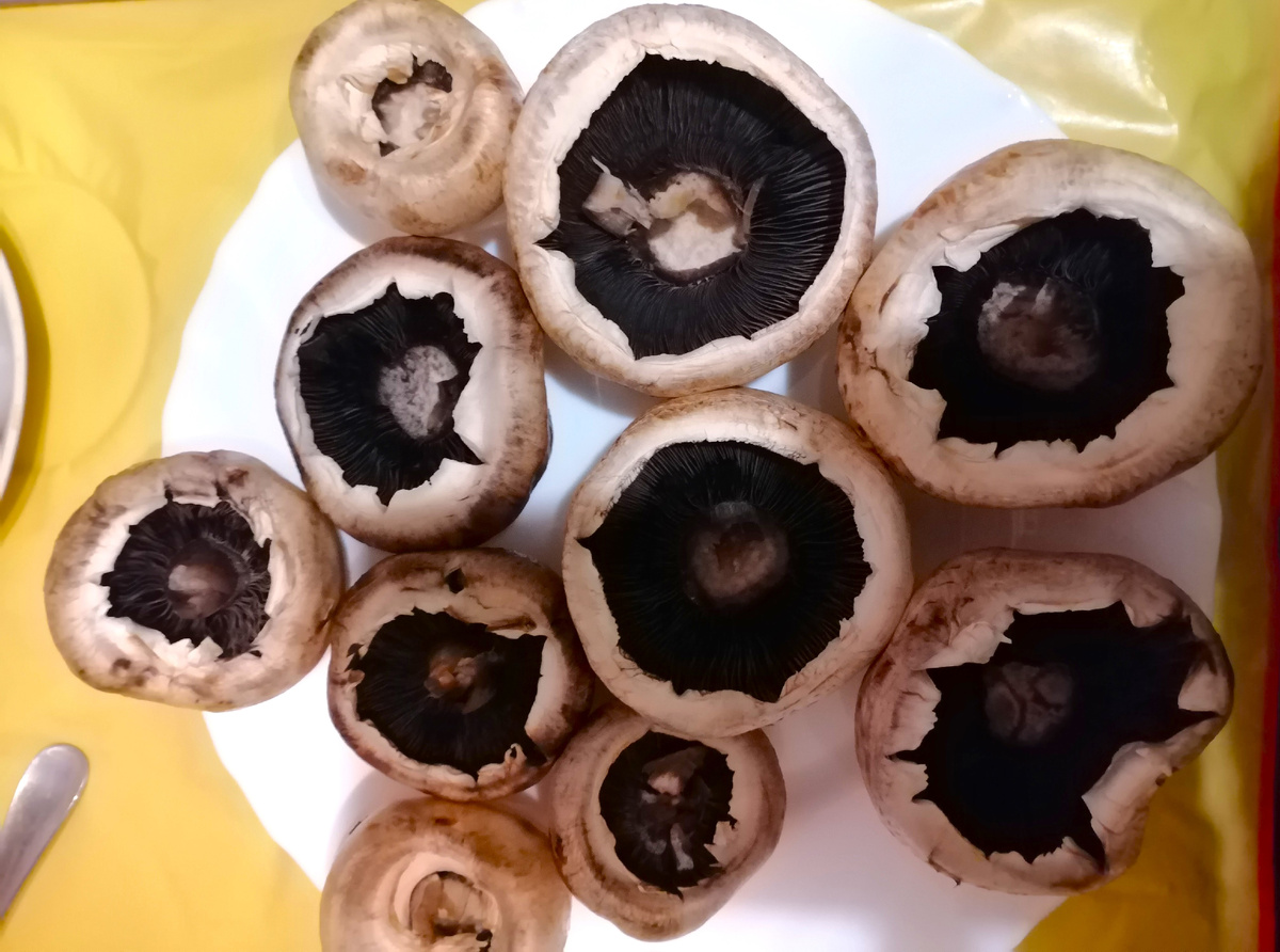 Фото 1. Шампиньоны без ножек; я шампиньоны предварительно мою, а уж вы сами решайте с этим вопросом самостоятельно – мыть или не мыть
