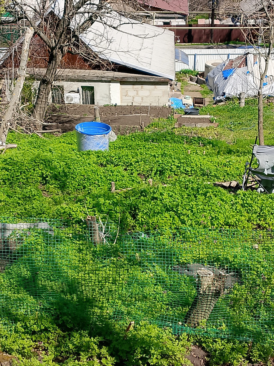 Дом находится внизу, на ровном месте, а весь огород- это гора! 