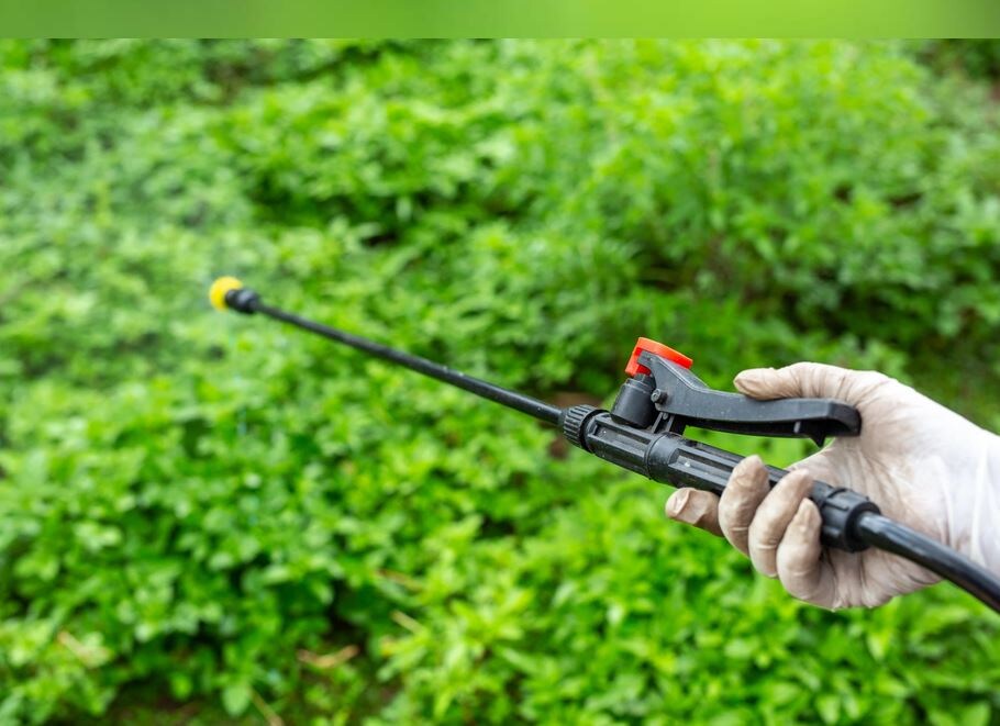 Фото: https://pogoda.mail.ru/news/67208124/photogallery/0b41f94e-591e-5de8-8e80-817a0df2e9f3/