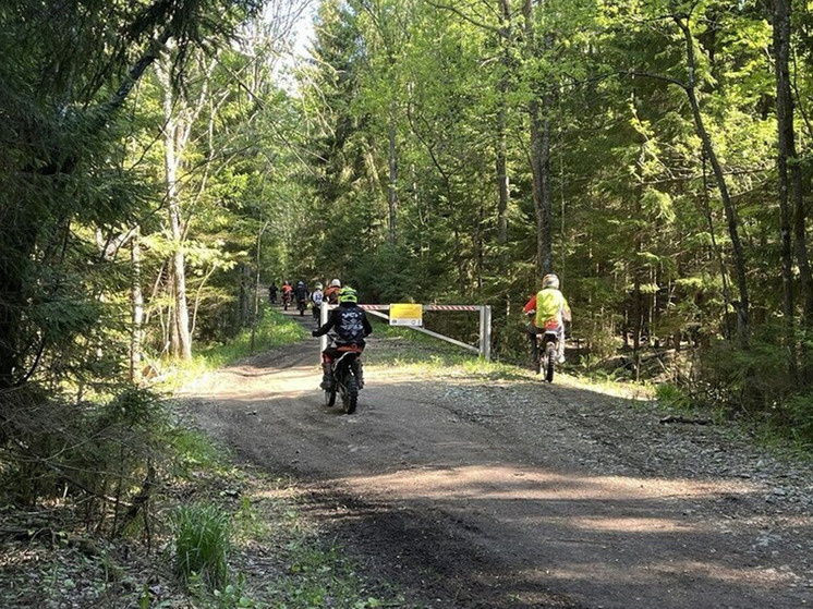     фото: архив МК в Великом Новгороде