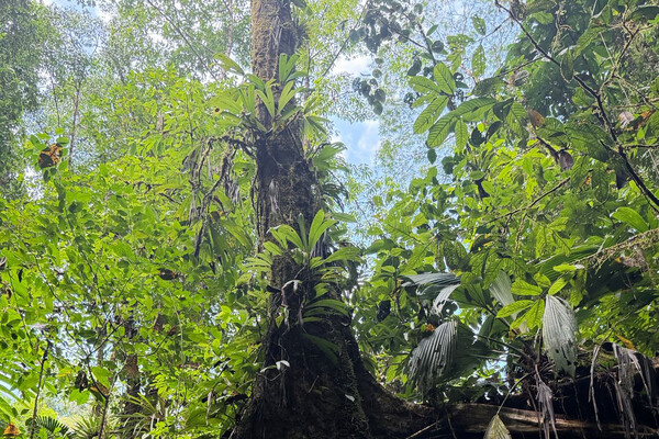 Samoylovaoxana/Instagram   📷