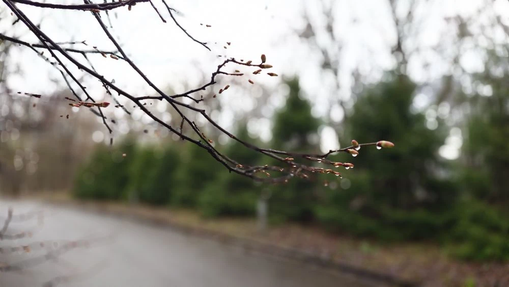 Из архива автора