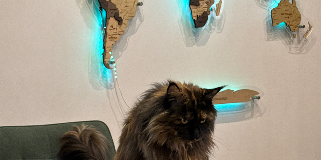 Домашняя кошка. Самый недооцененный хищник.