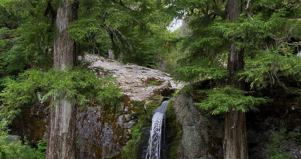 Литературный конкурс. День третий
