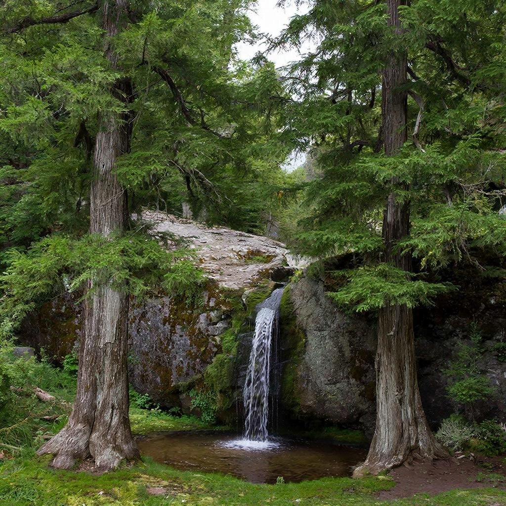 Колодец забвения.