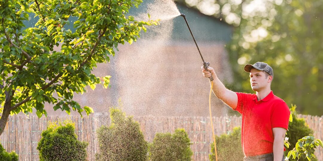 Полный календарь обработки плодовых деревьев на весь теплый сезон