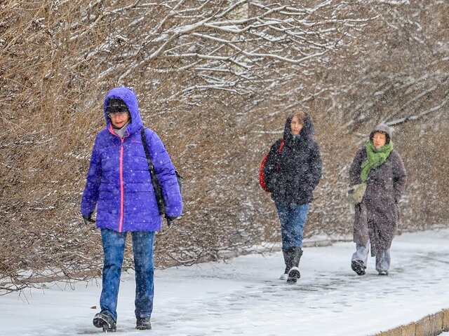    Фото: Москва 24/Лидия Широнина