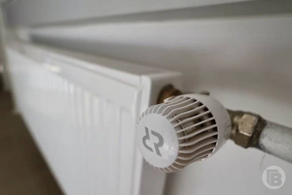    Фото: Дмитрий Рогулин / "Городские вести"