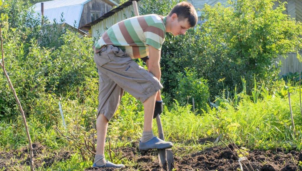 Вот бы ещё и клад найти