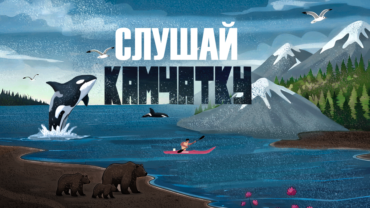 Обложка подкаста «Слушай Камчатку»