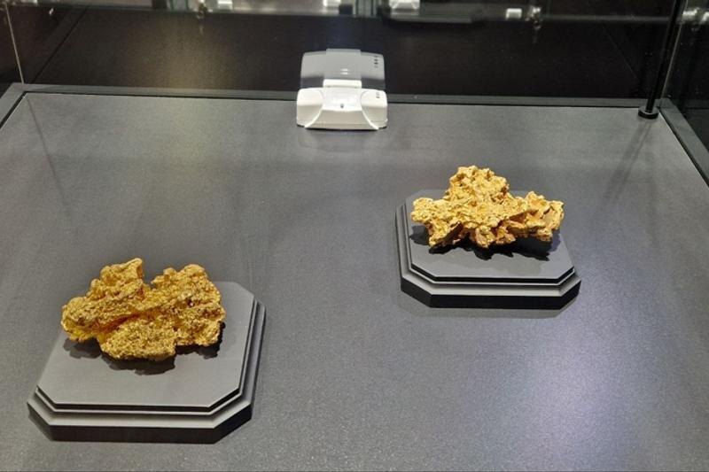    Пресс-служба УрГГУ. Экспозиция геологического музея. Самородки золота