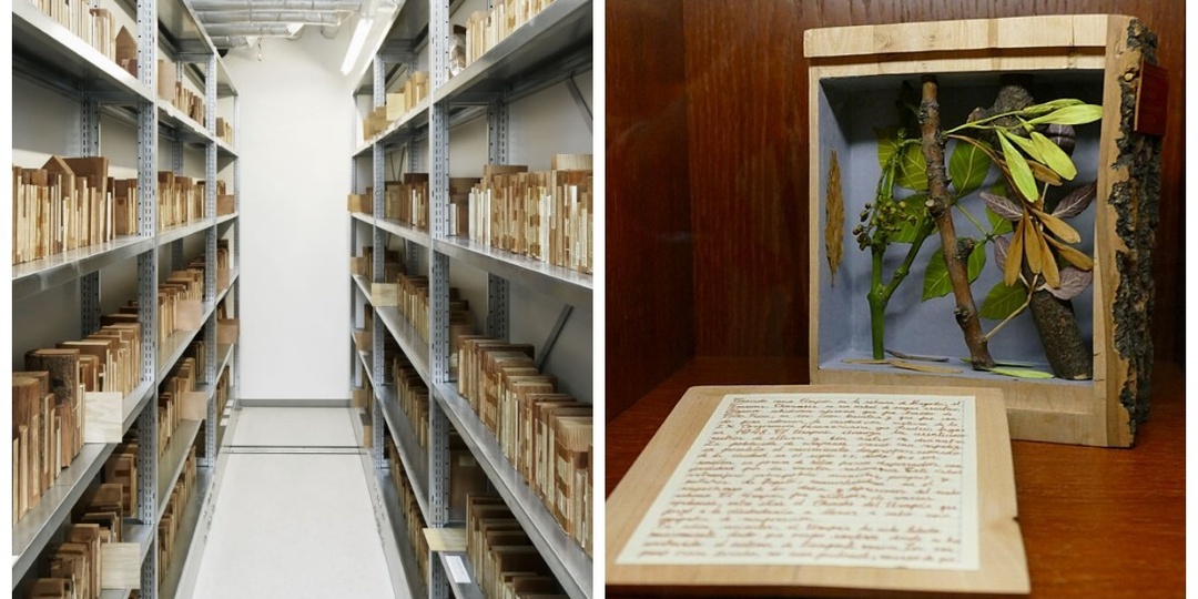 Ксилотека - уникальное собрание деревянных книг