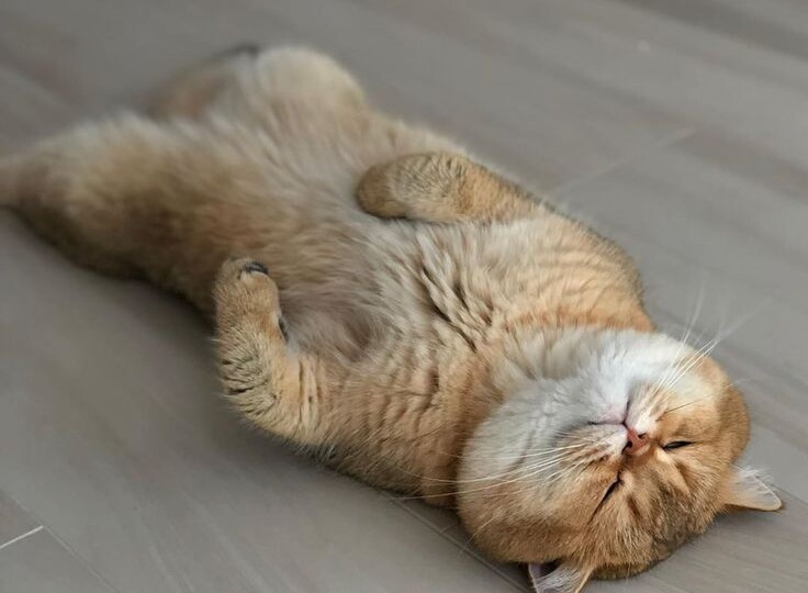 Как у меня взломали Телеграмм, про Вайлдберриз и про ветровку-победительницу