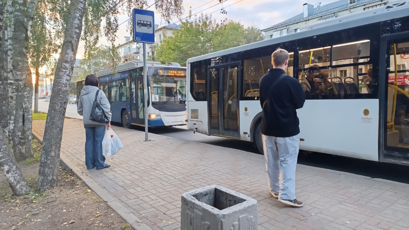    Фото progorod43.ru